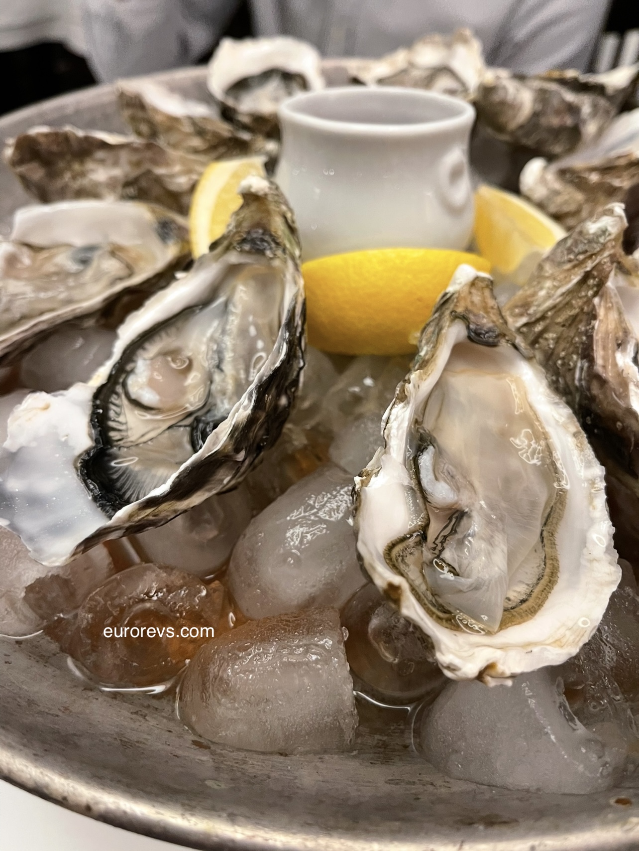 £49 Dozen Maldon Rocks Oysters in Chiswick le Vacherin 